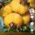鲜刺梨200吨