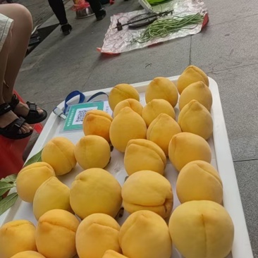 黄桃
