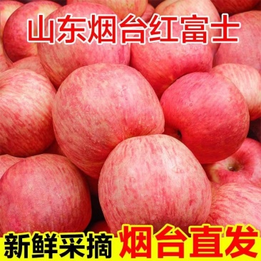 山东烟台红富士苹果生鲜水果新鲜应季脆甜整箱