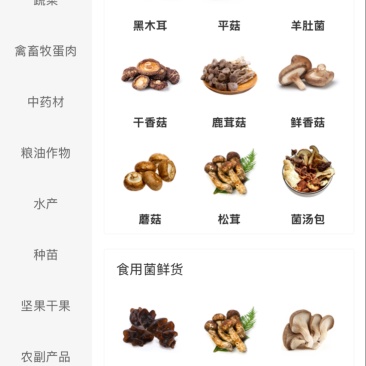 辣椒