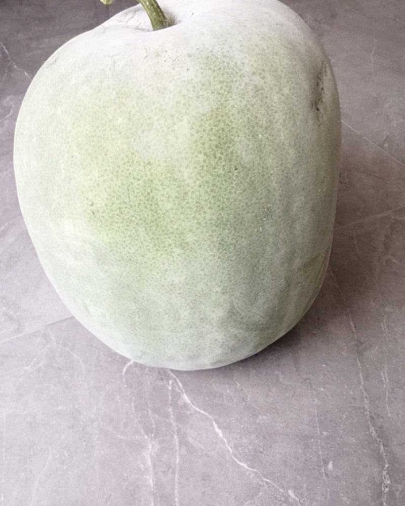 冬瓜