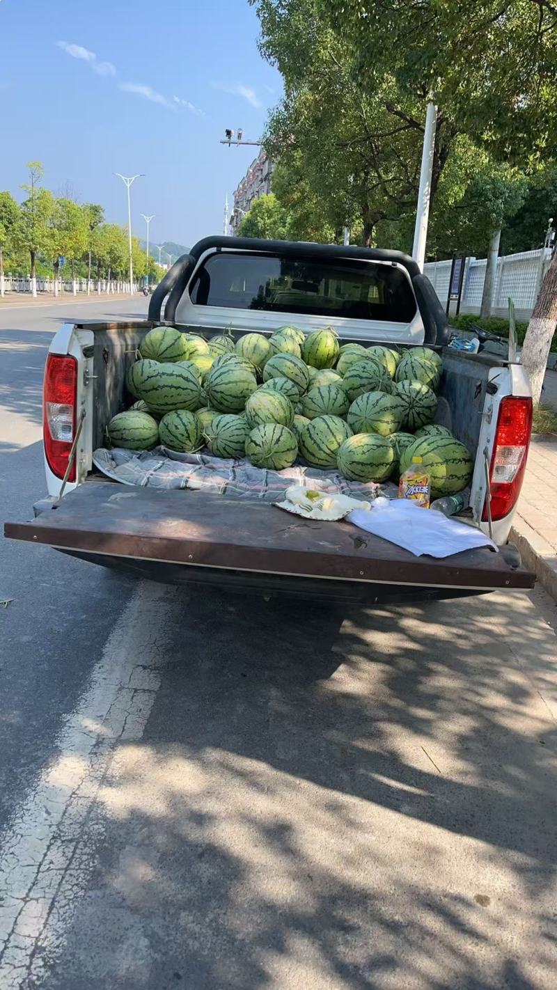 家里老人自己种的！需要的联系
