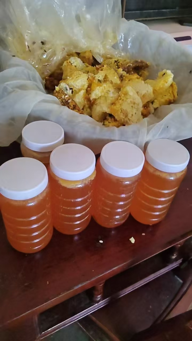 土蜂蜜