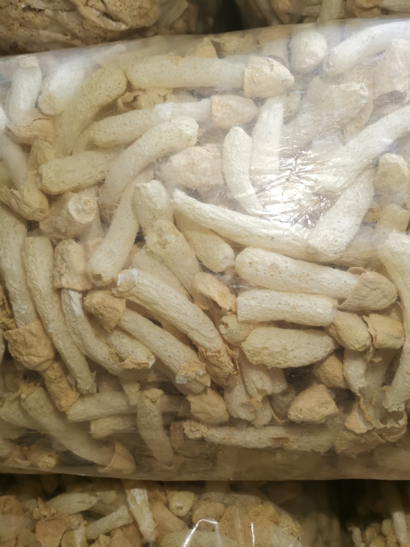 第一批好货