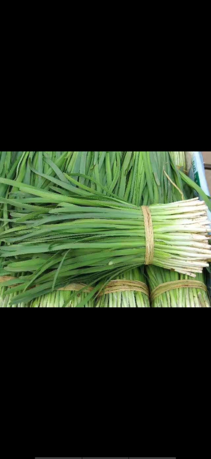 江西卖韭菜