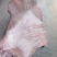 肉青