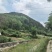 野生，现摘，新鲜，松塔