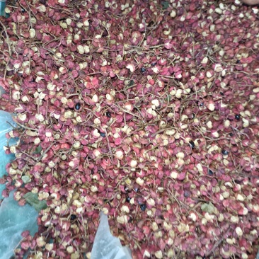 大红袍花椒