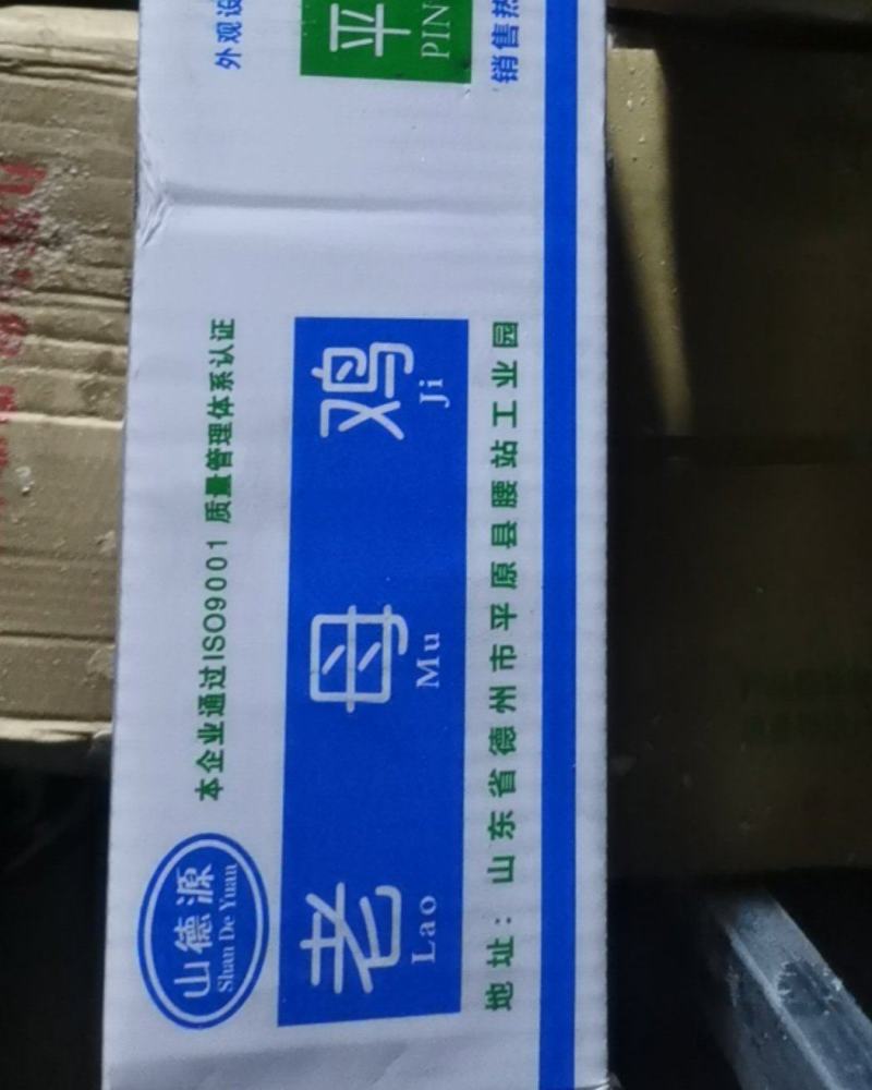 平德中原老母鸡白毛9只22斤一箱