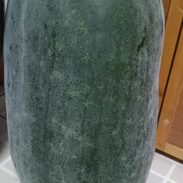 冬瓜