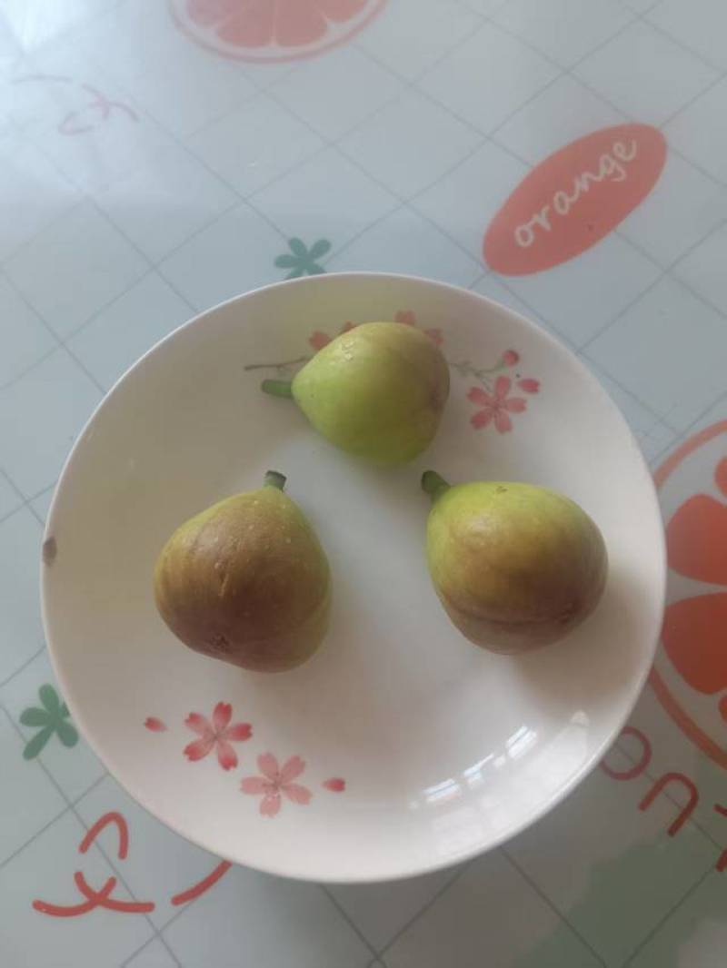 无花果