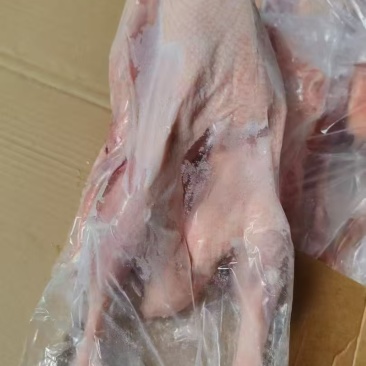 19㎏8只心肝仔鹅200件