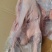 19㎏8只心肝仔鹅200件