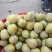 黄金奈李
