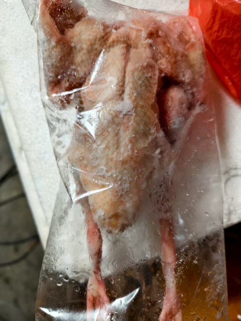 二级4两以上鸽子全净膛