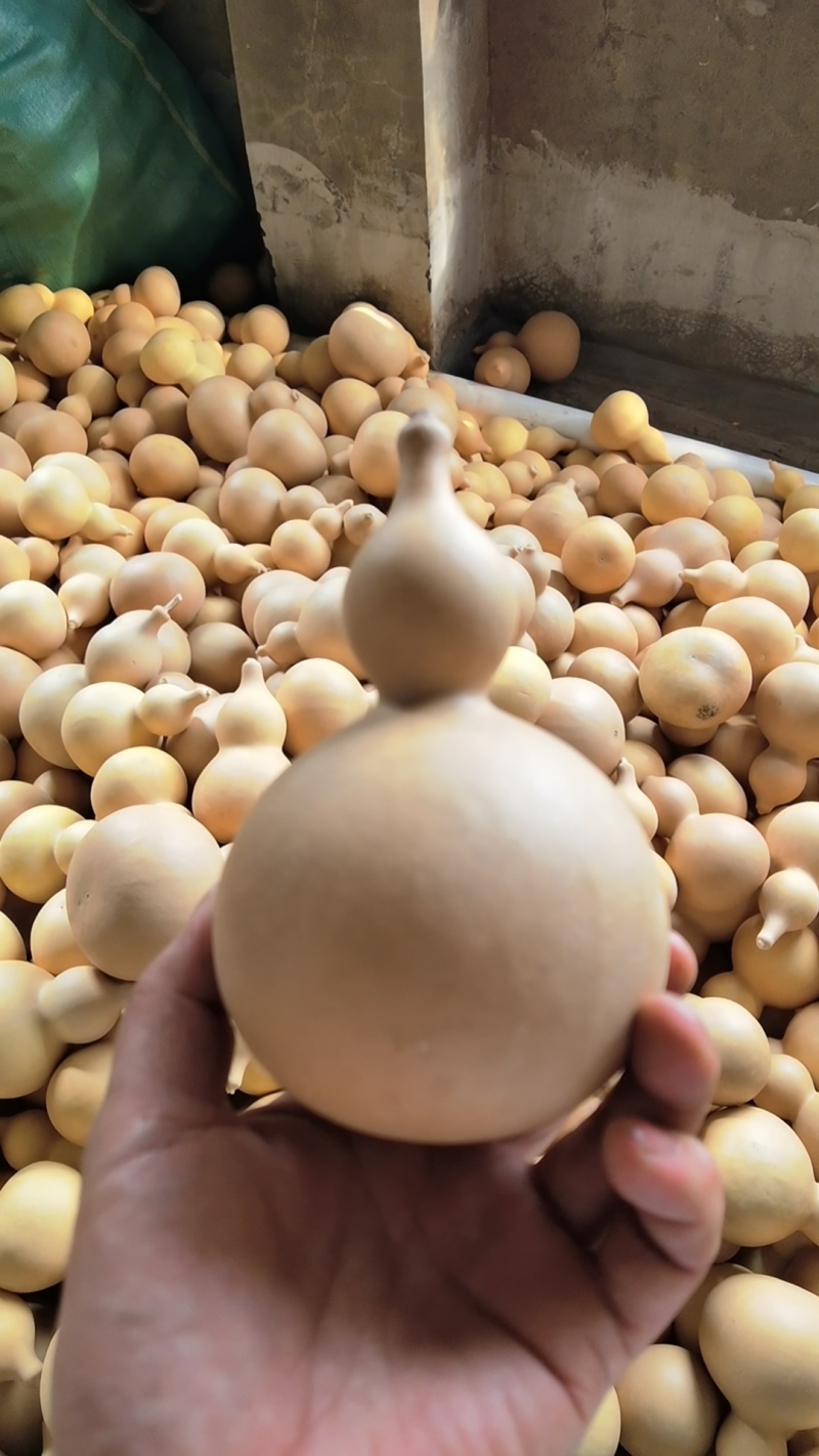 弥勒葫芦