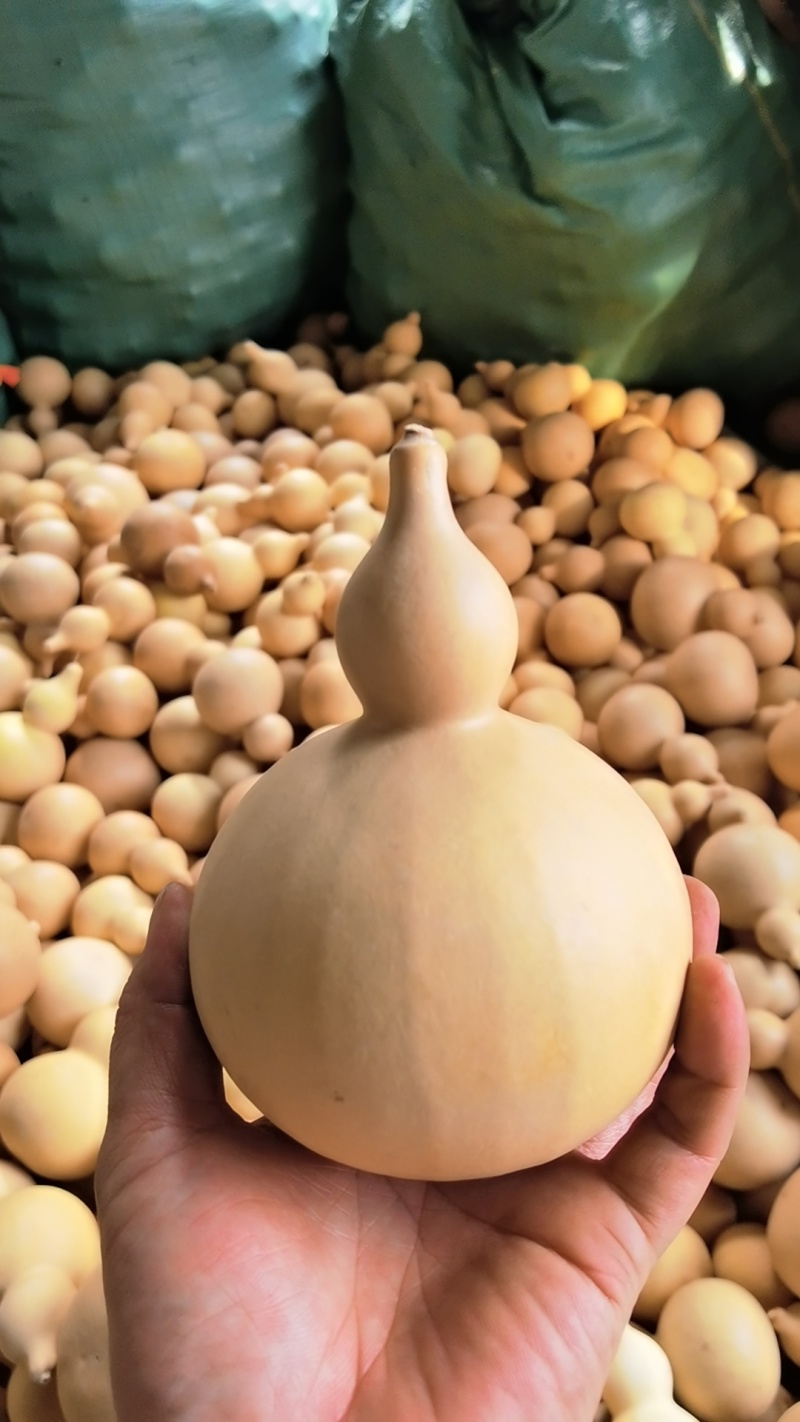 弥勒葫芦