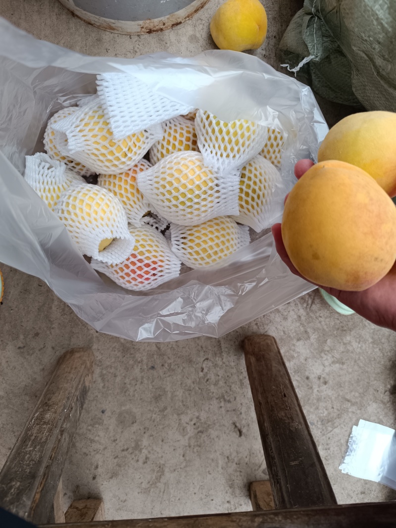 黄桃
