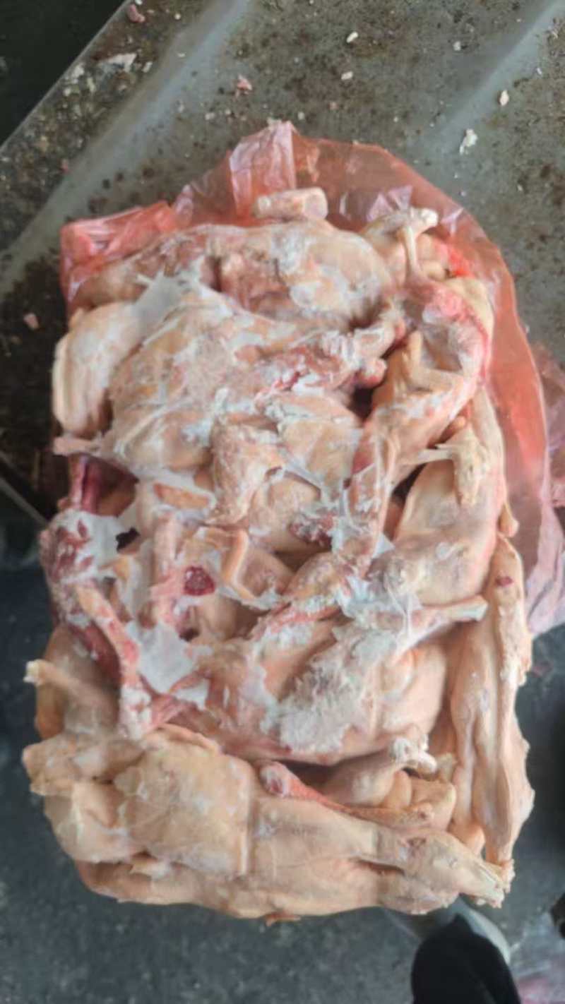 三级鸭，饲料价出