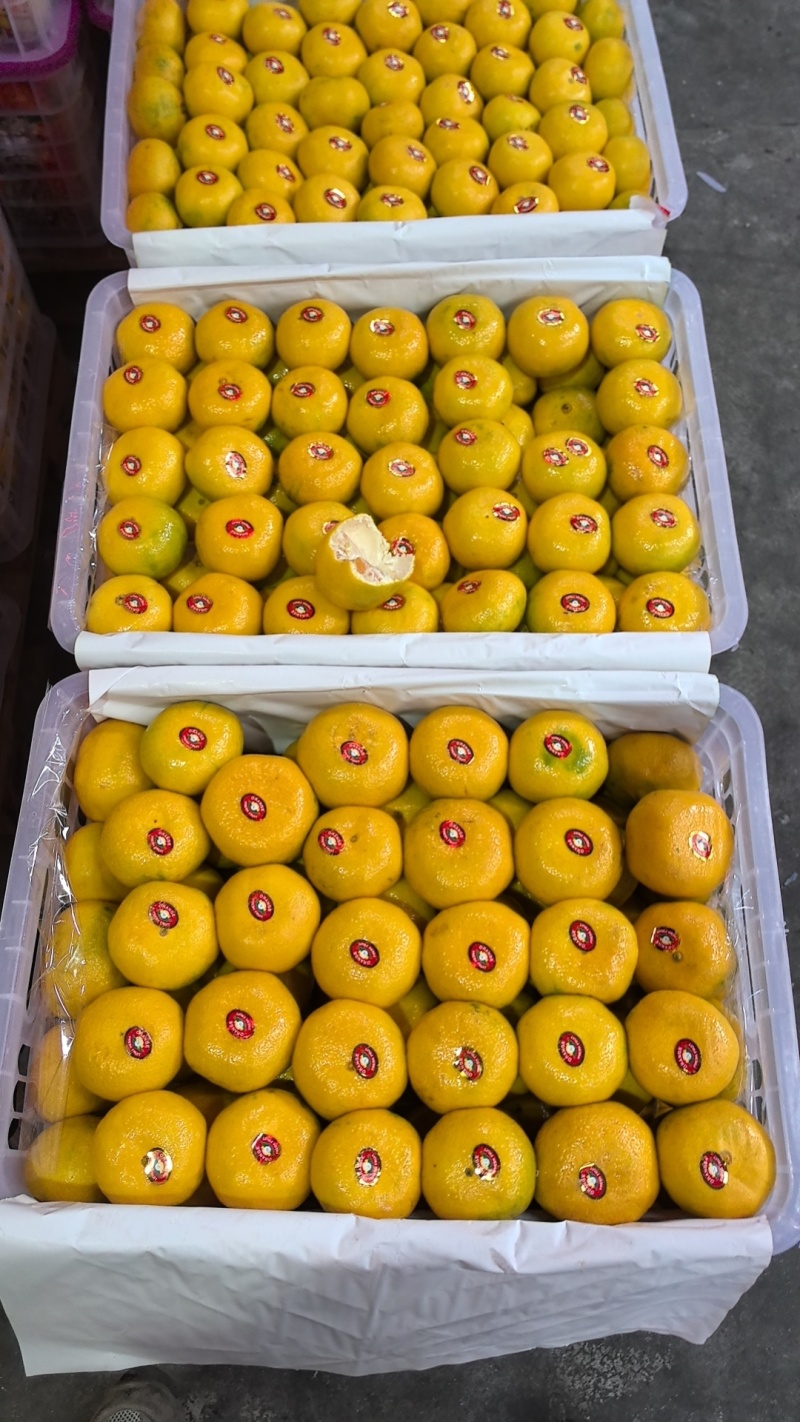 607075