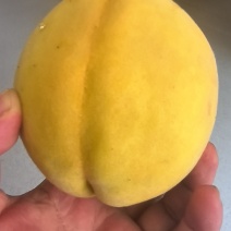 4量起