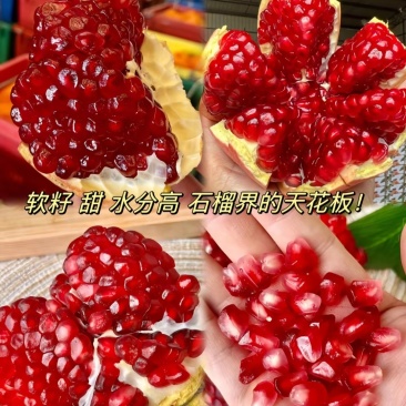会理石榴