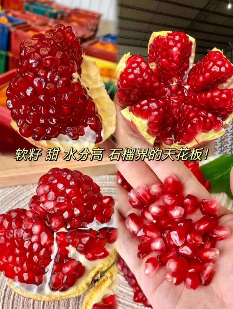 会理石榴