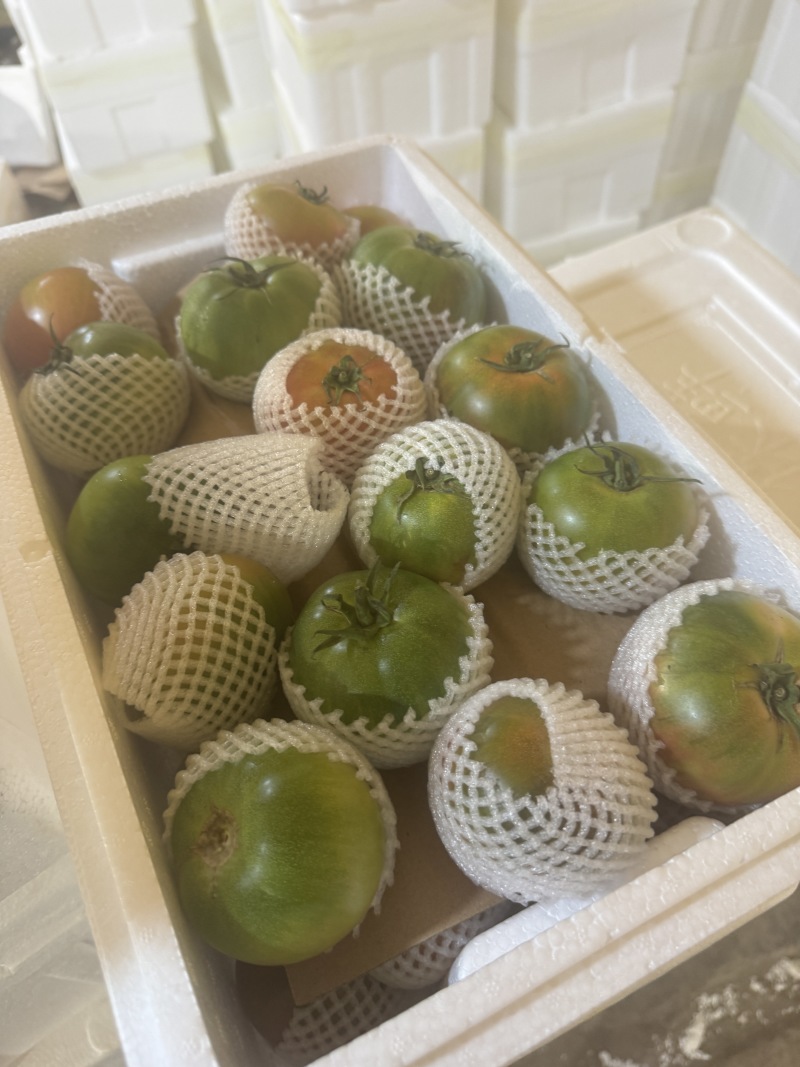 精品草莓番茄量大自有基地有需要老板联系