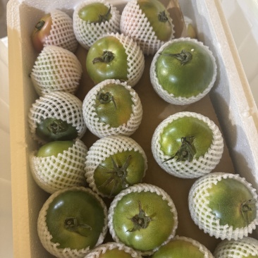 精品草莓番茄量大自有基地有需要老板联系