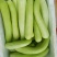 菜瓜