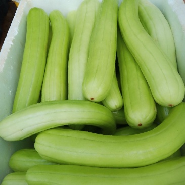 菜瓜