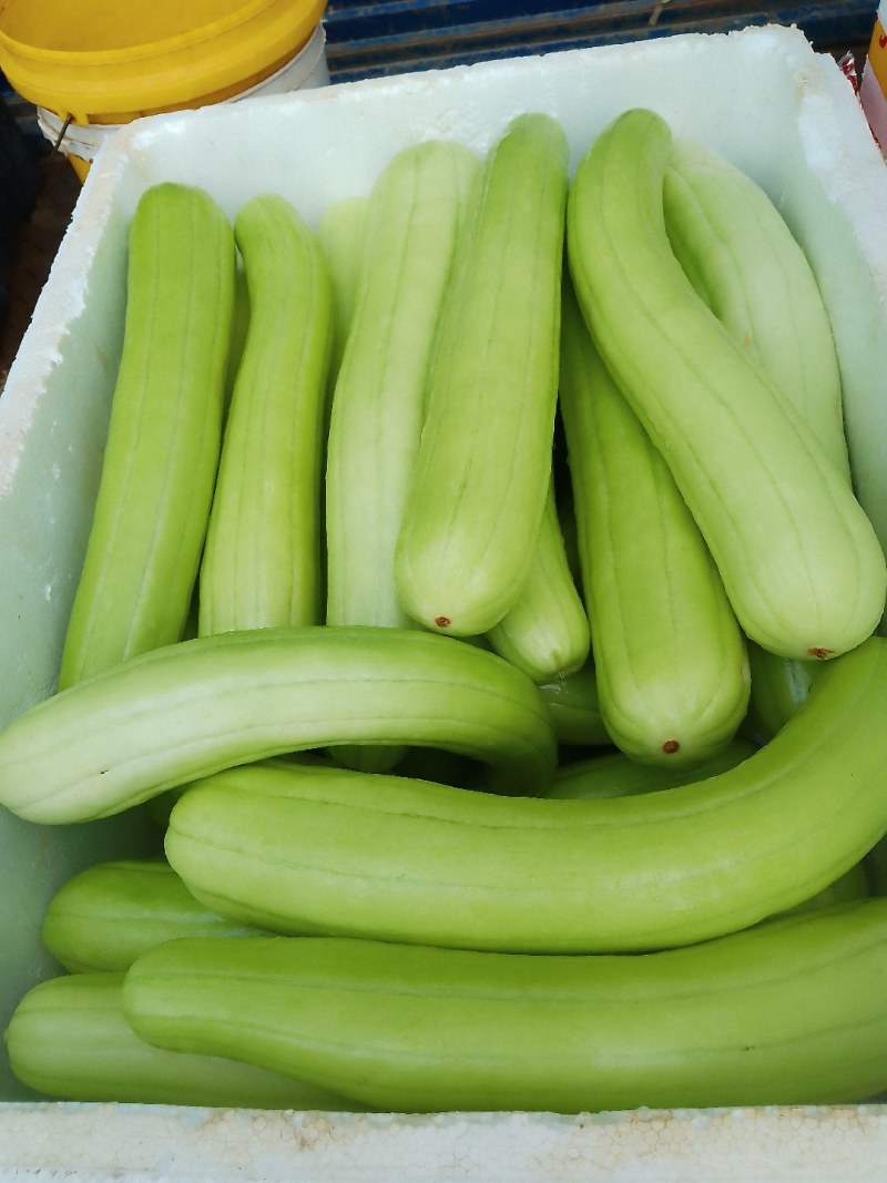 菜瓜