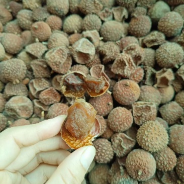 桂味荔枝干