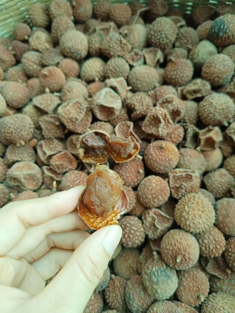 桂味荔枝干