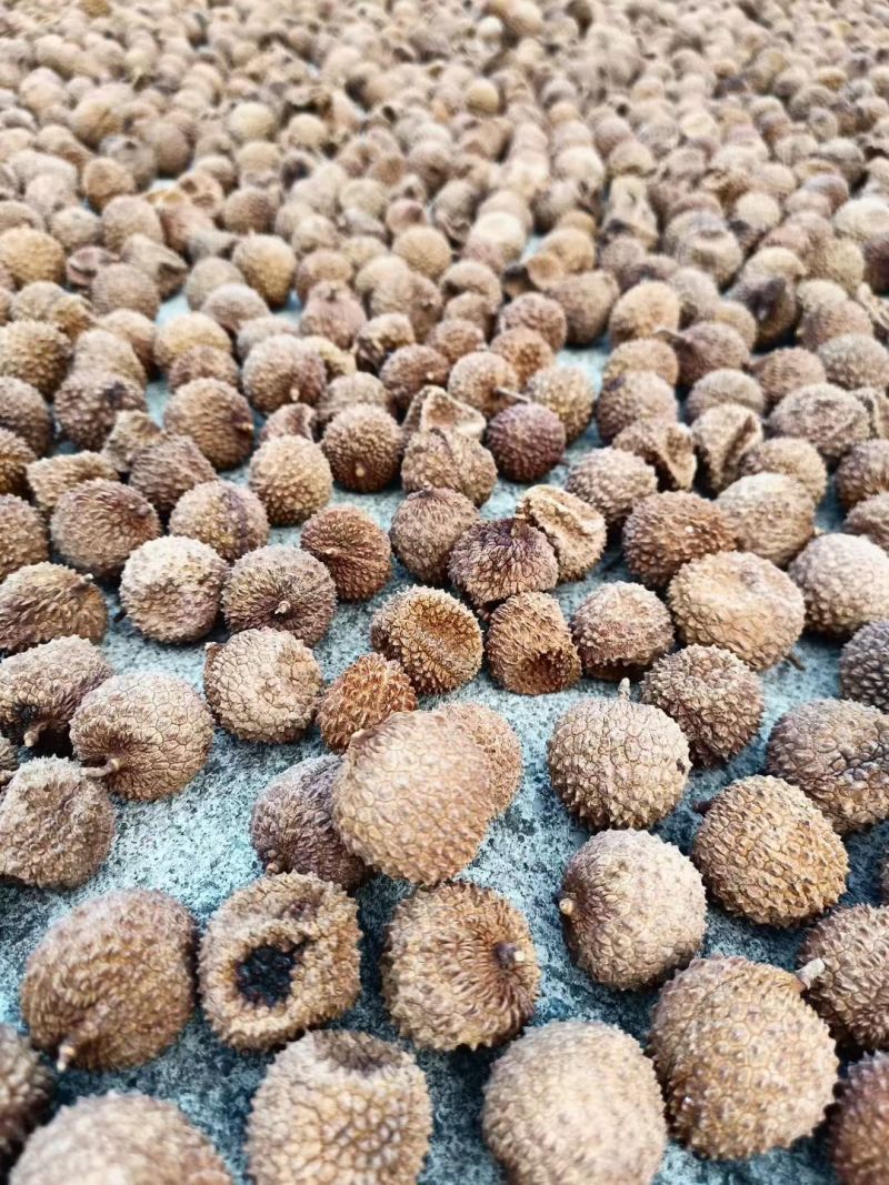 桂味荔枝干