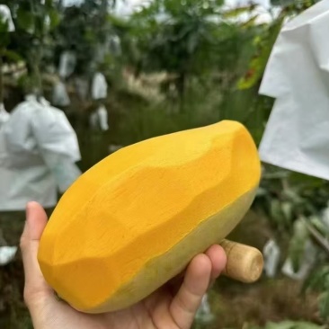 攀枝花专属攀研二号芒果🥭口感Q弹细腻香甜吃了还想吃😋