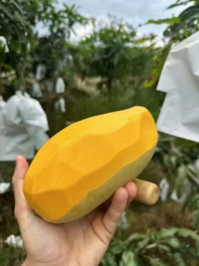 攀枝花专属攀研二号芒果🥭口感Q弹细腻香甜吃了还想吃😋