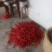 贵州红辣椒🌶