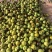 陕西大荔冬枣新鲜脆甜冬枣青枣特级鲜枣孕妇水果