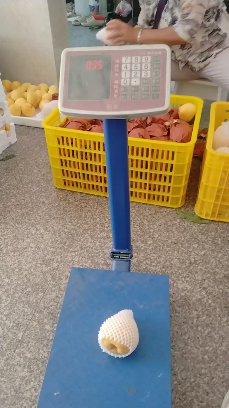 炎陵黄桃