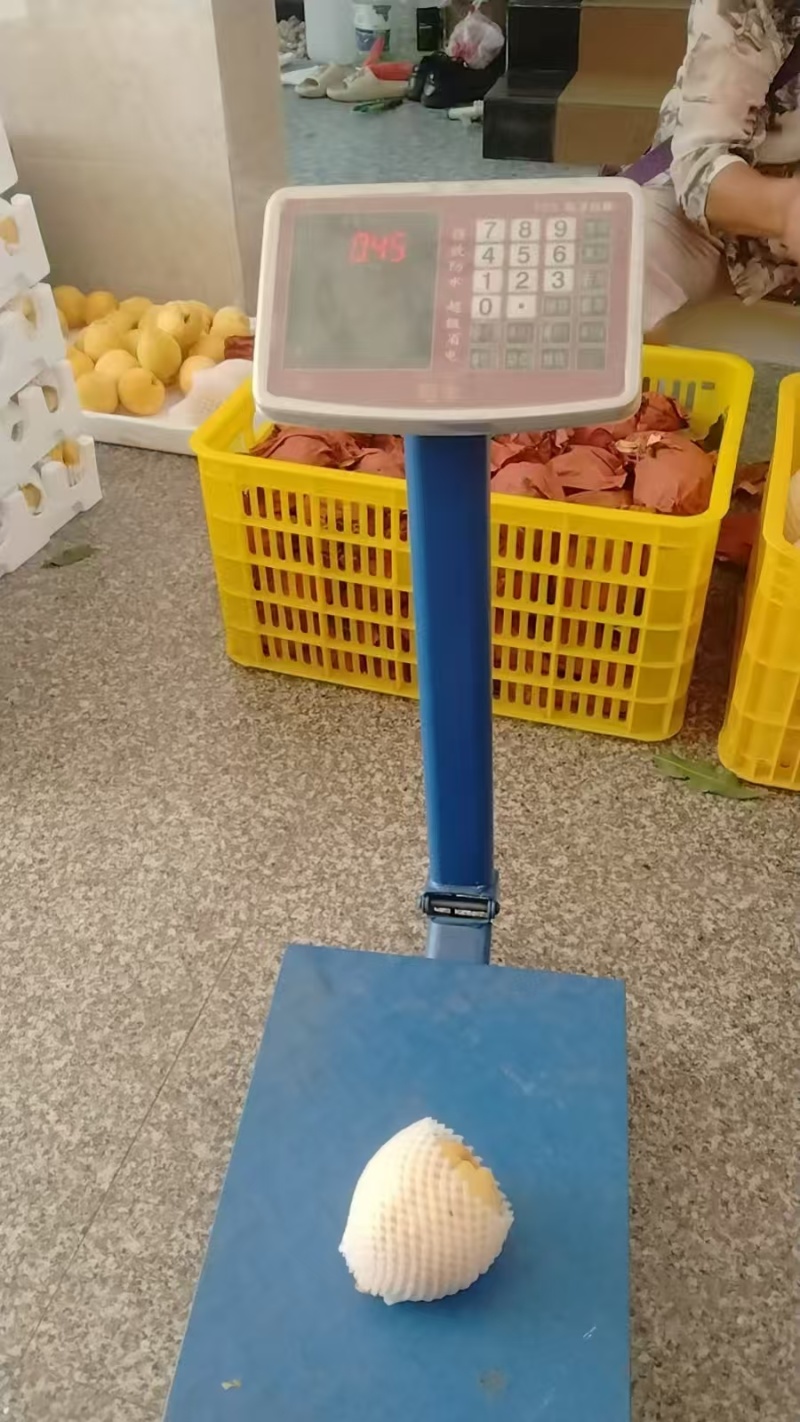 炎陵黄桃