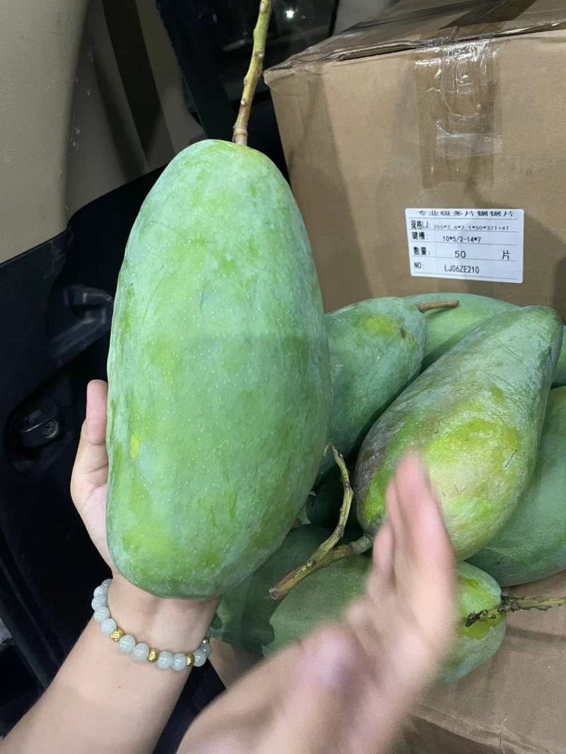 西昌金煌芒果