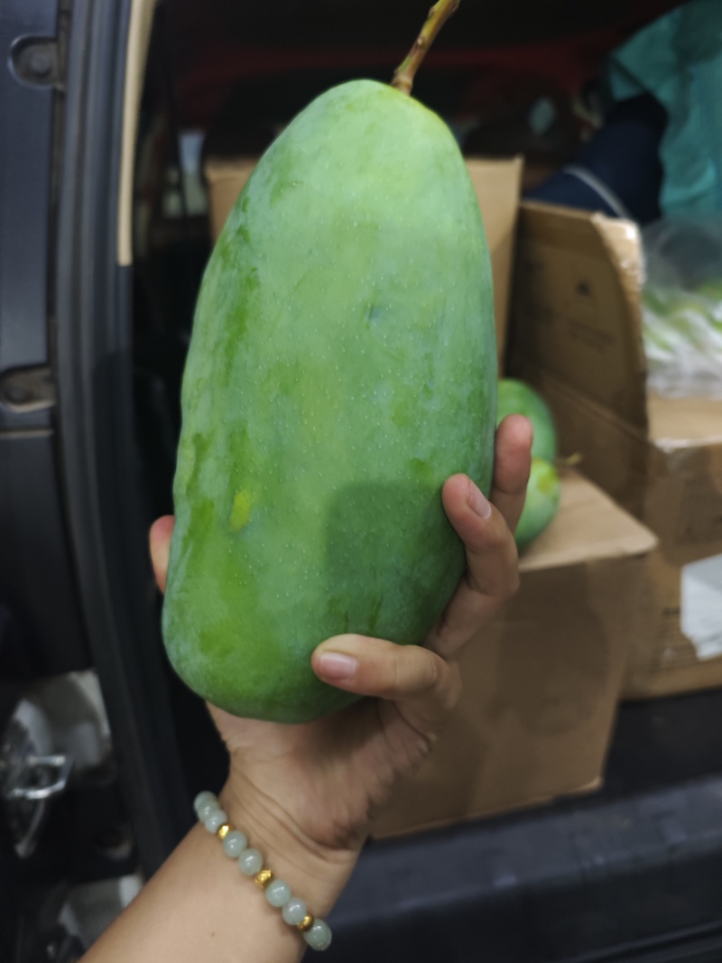 西昌金煌芒果