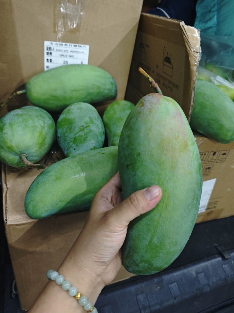 西昌金煌芒果
