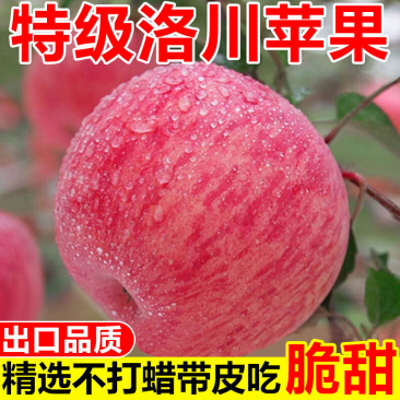 洛川苹果