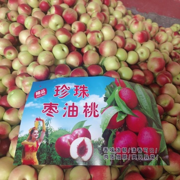 山西运城头茬珍珠枣油桃