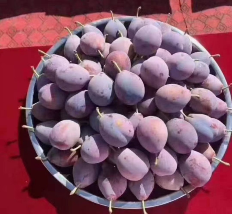 伽师西梅