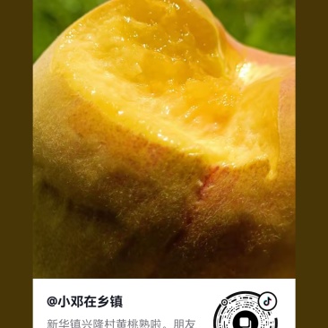 黄桃