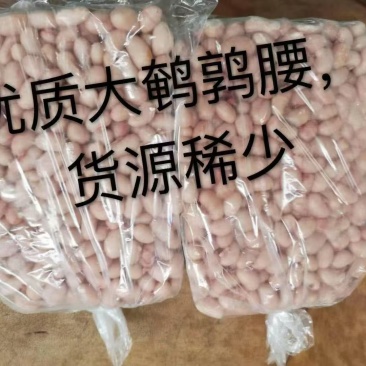 鹌鹑腰子200公斤
