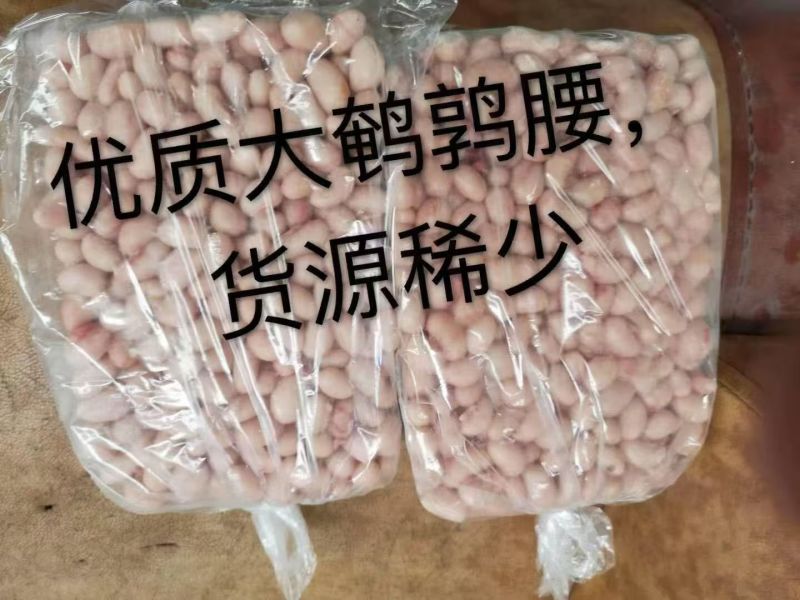 鹌鹑腰子200公斤